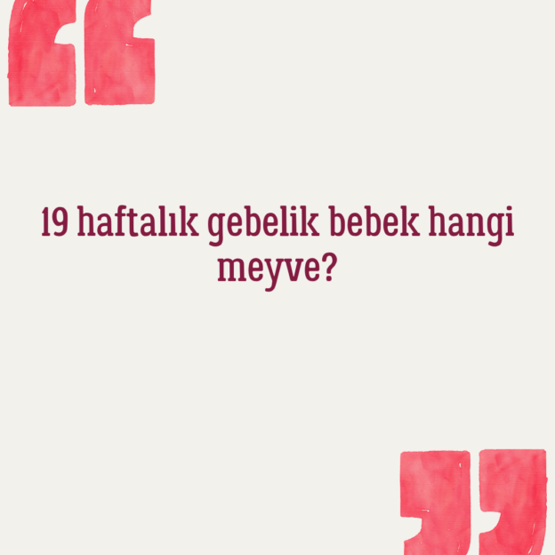 19 haftalık gebelik bebek hangi meyve? 1