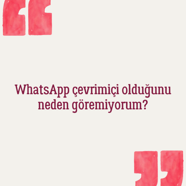 WhatsApp çevrimiçi olduğunu neden göremiyorum? 1