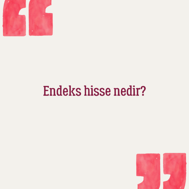 Endeks hisse nedir? 1