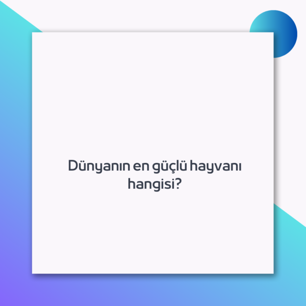 Dünyanın en güçlü hayvanı hangisi? 1