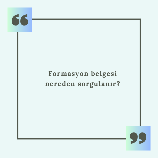 Formasyon belgesi nereden sorgulanır? 1