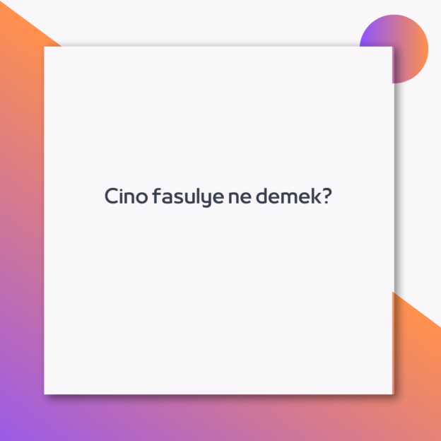 Cino fasulye ne demek? 1