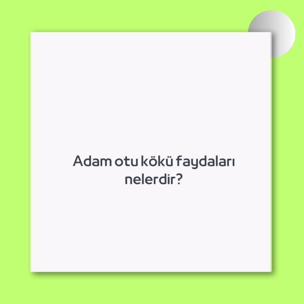 Adam otu kökü faydaları nelerdir? 1