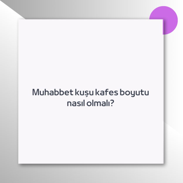 Muhabbet kuşu kafes boyutu nasıl olmalı? 1