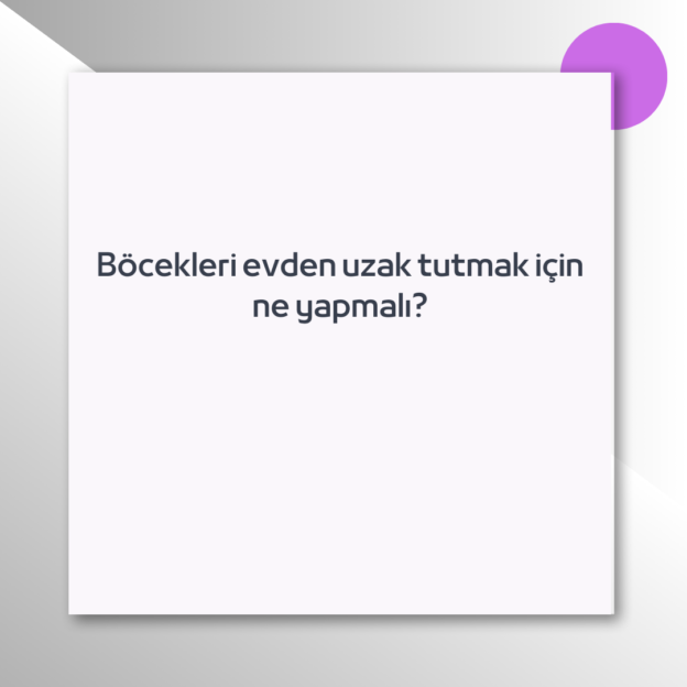 Böcekleri evden uzak tutmak için ne yapmalı? 1