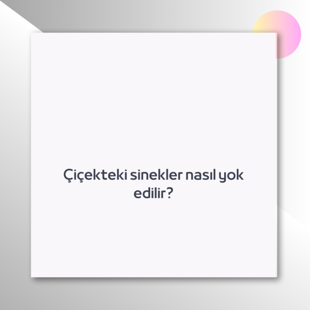 Çiçekteki sinekler nasıl yok edilir? 1