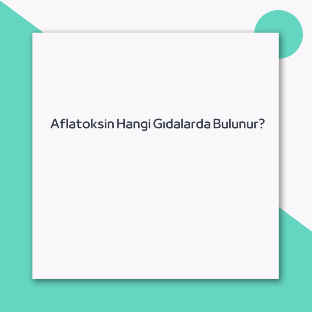 Aflatoksin Hangi Gıdalarda Bulunur? 1