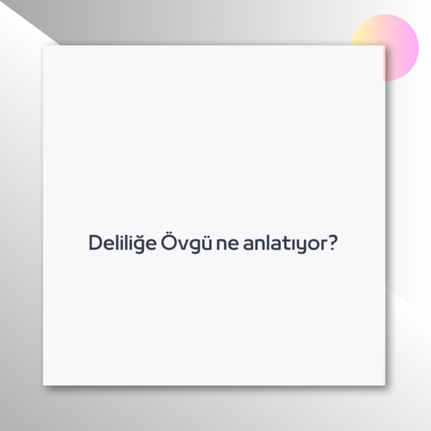 Deliliğe Övgü ne anlatıyor? 1