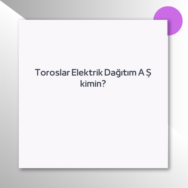 Toroslar Elektrik Dağıtım A Ş kimin? 1