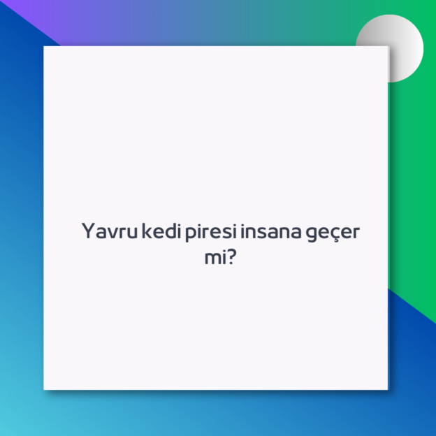 Yavru kedi piresi insana geçer mi? 1