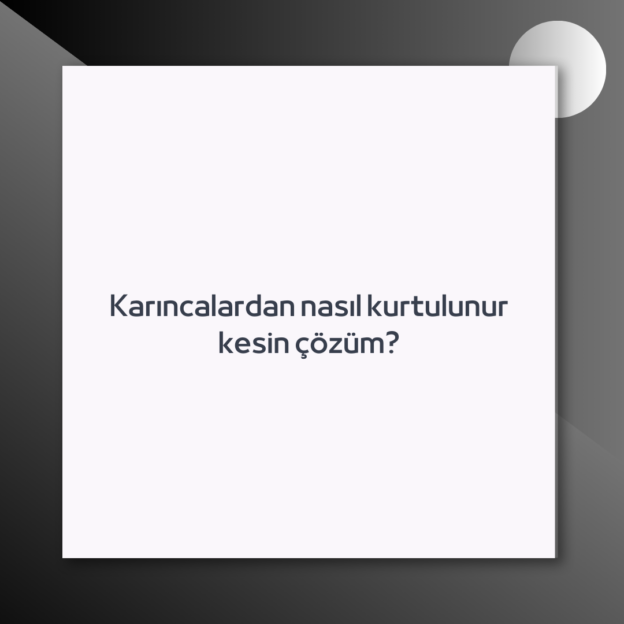 Karıncalardan nasıl kurtulunur kesin çözüm? 1