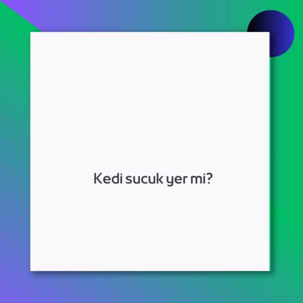 Kedi sucuk yer mi? 1