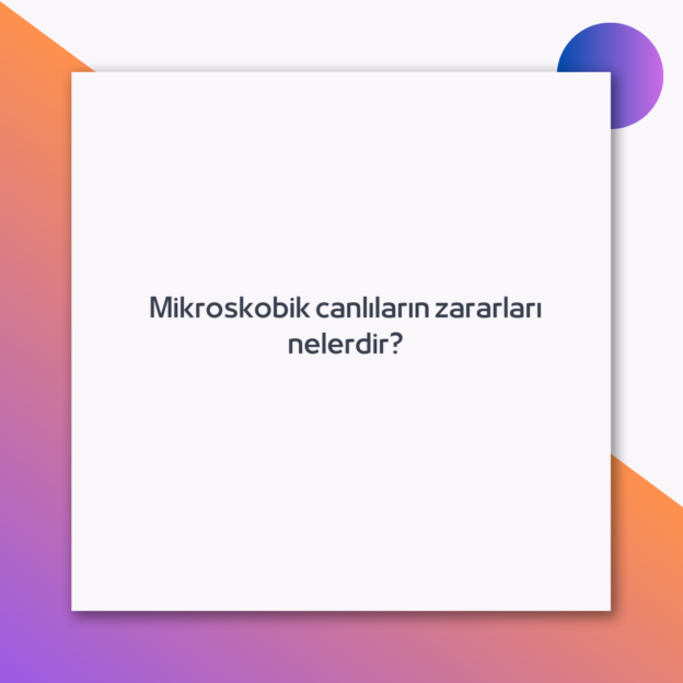 Mikroskobik canlıların zararları nelerdir? 1