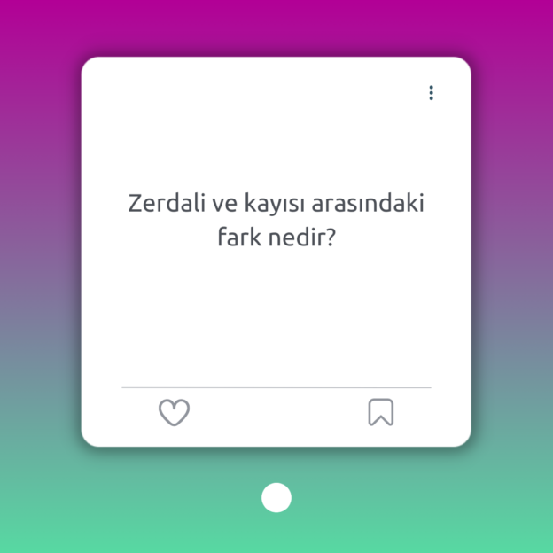 Zerdali ve kayısı arasındaki fark nedir? 1