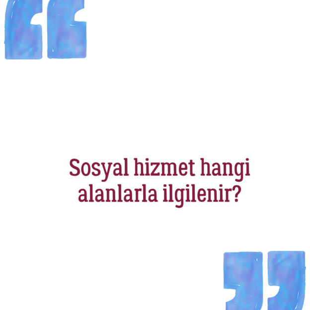 Sosyal hizmet hangi alanlarla ilgilenir? 1