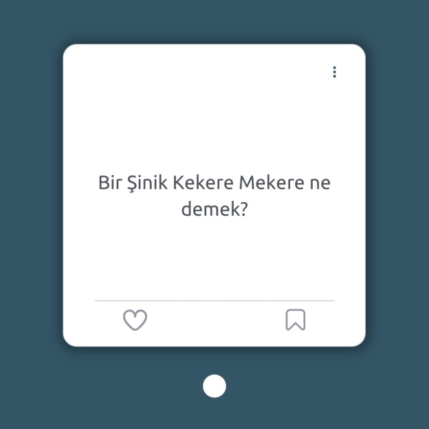 Bir Şinik Kekere Mekere ne demek? 1