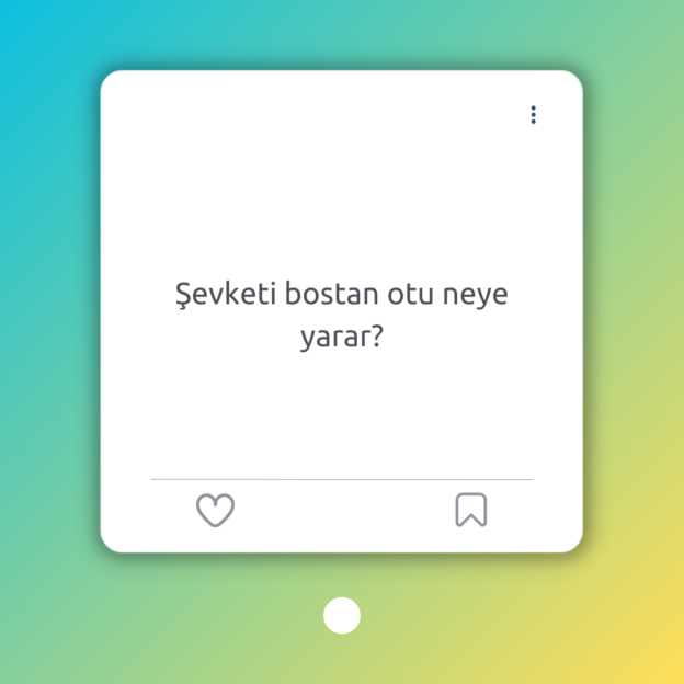 Şevketi bostan otu neye yarar? 1