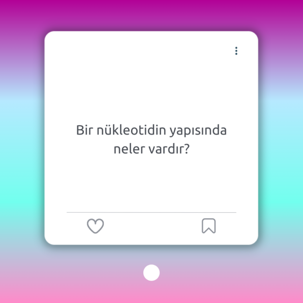 Bir nükleotidin yapısında neler vardır? 1