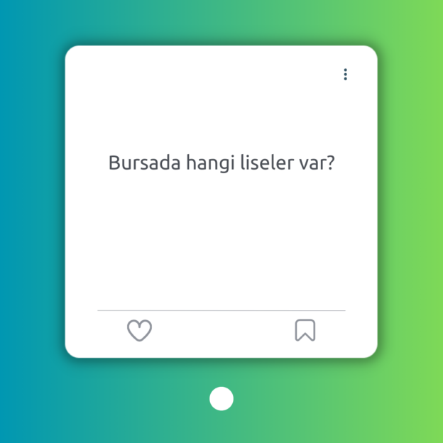 Bursada hangi liseler var? 1