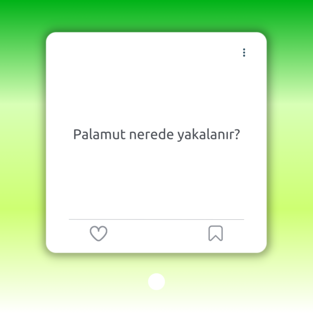 Palamut nerede yakalanır? 1