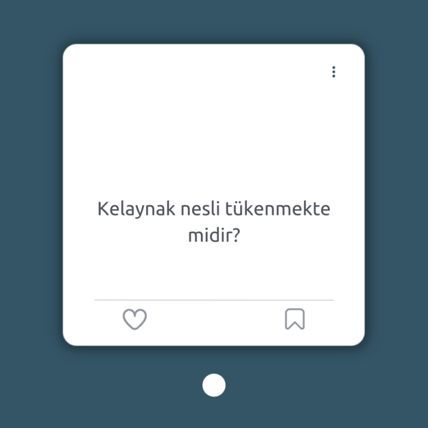 Kelaynak nesli tükenmekte midir? 1