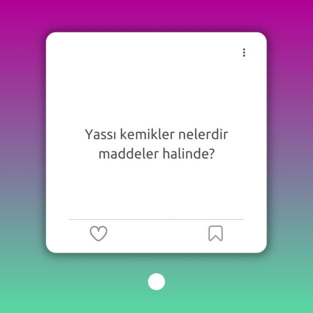 Yassı kemikler nelerdir maddeler halinde? 1