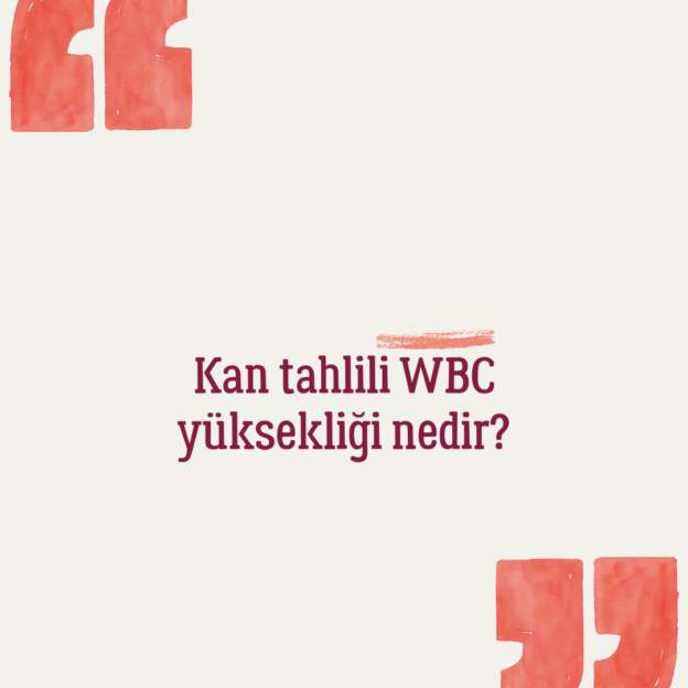 Kan tahlili WBC yüksekliği nedir? 1