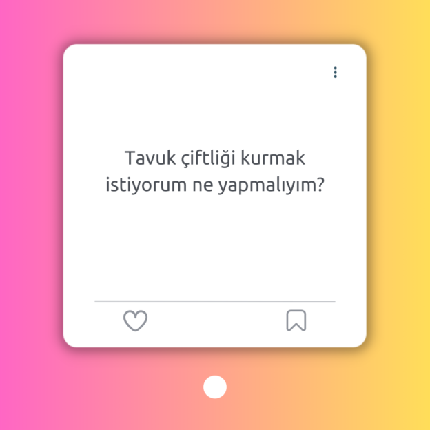 Tavuk çiftliği kurmak istiyorum ne yapmalıyım? 1