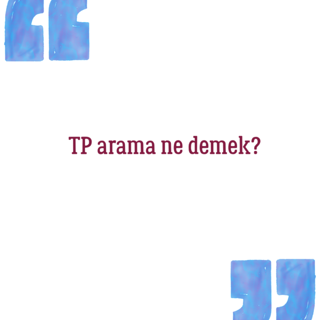 TP arama ne demek? 1