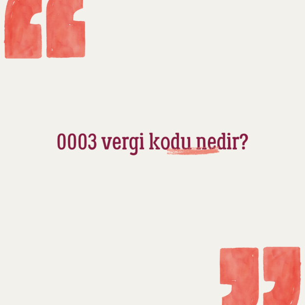 0003 vergi kodu nedir? 1