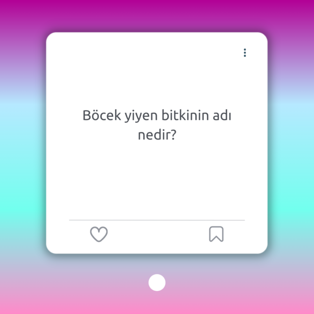 Böcek yiyen bitkinin adı nedir? 1