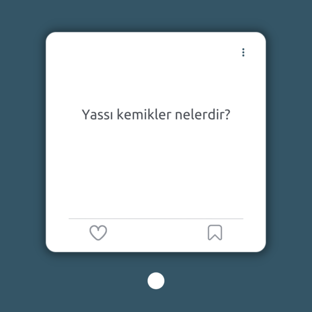 Yassı kemikler nelerdir? 1