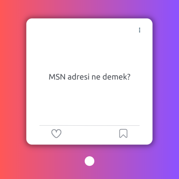 MSN adresi ne demek? 1