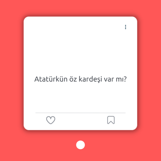 Atatürkün öz kardeşi var mı? 1