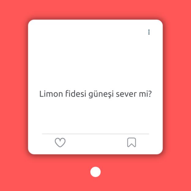 Limon fidesi güneşi sever mi? 1