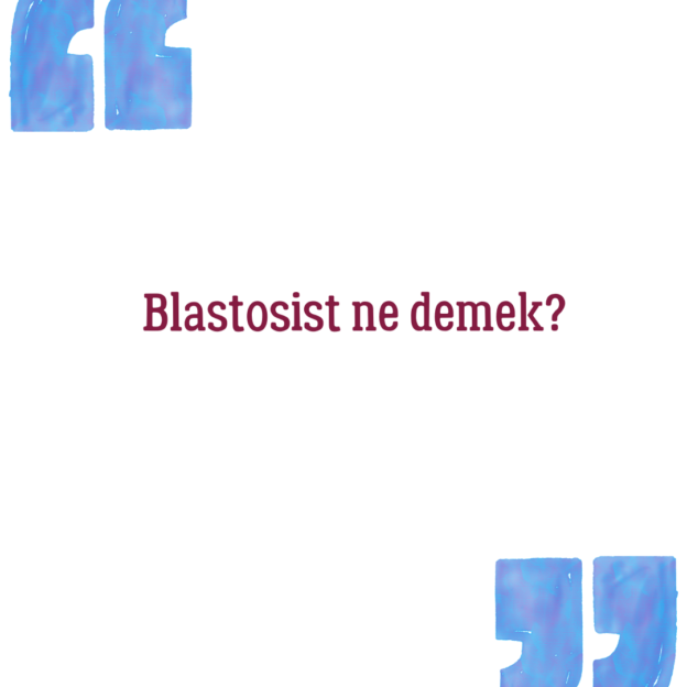 Blastosist ne demek? 1