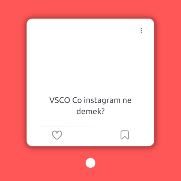 VSCO Co instagram ne demek? 1