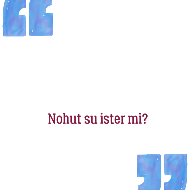 Nohut su ister mi? 1