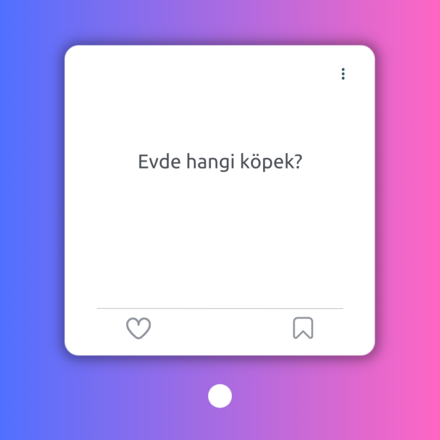 Evde hangi köpek? 1