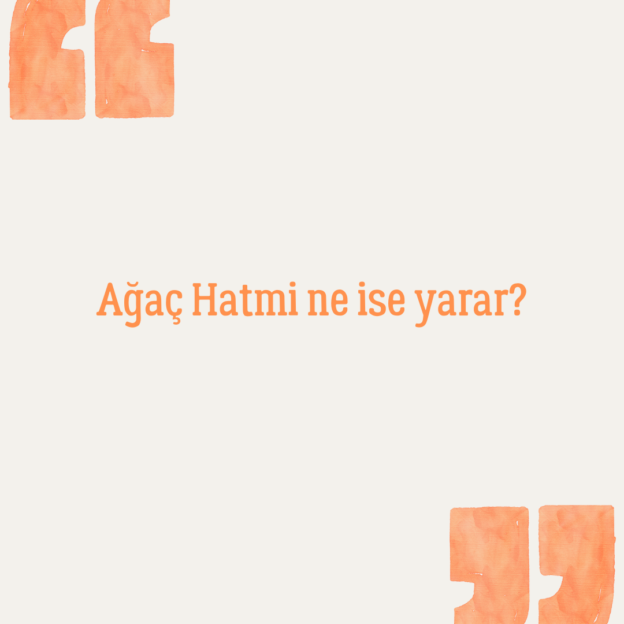 Ağaç Hatmi ne ise yarar? 1