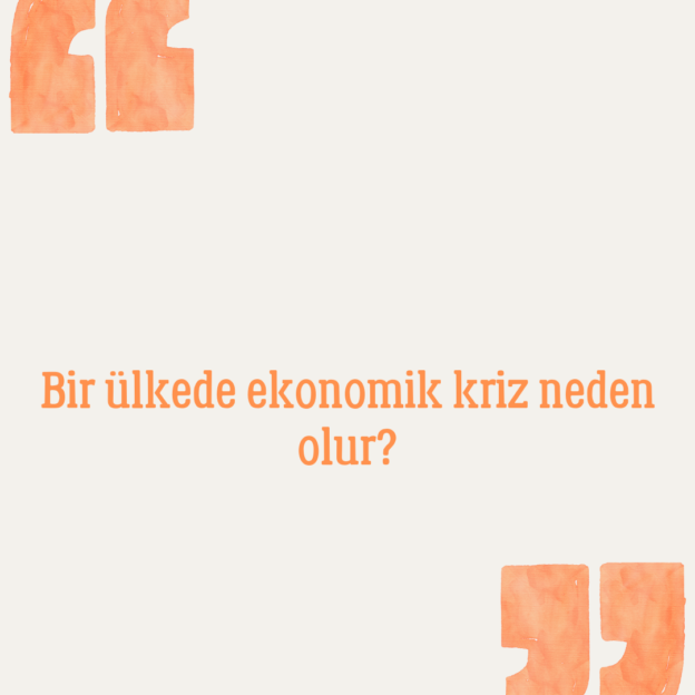 Bir ülkede ekonomik kriz neden olur? 1