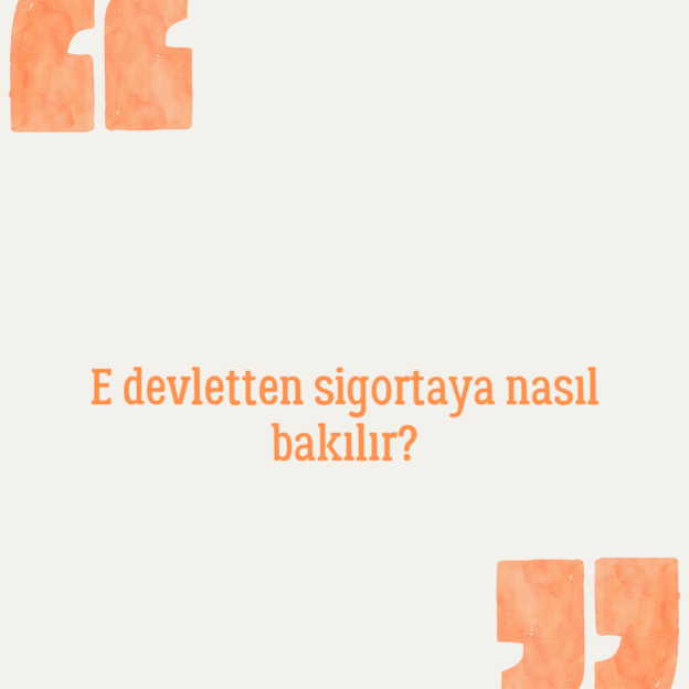 E devletten sigortaya nasıl bakılır? 1