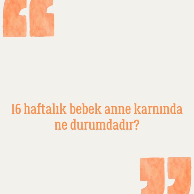 16 haftalık bebek anne karnında ne durumdadır? 1