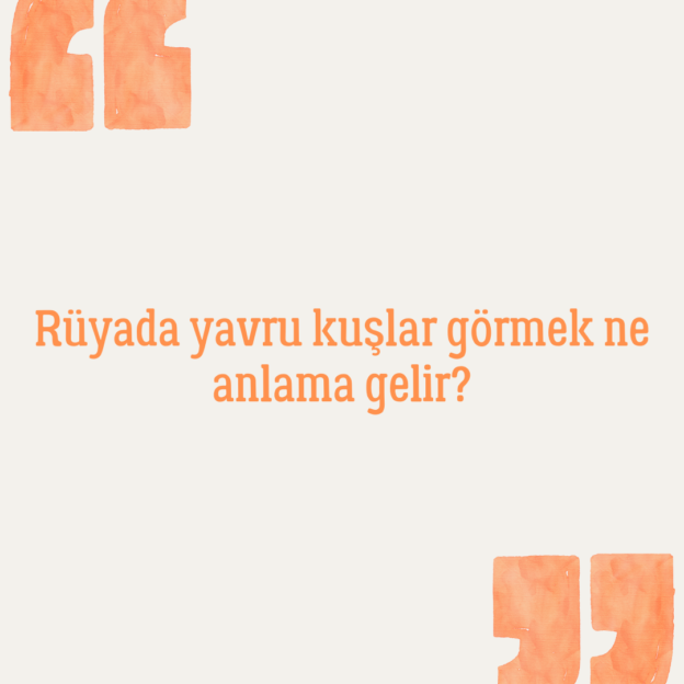 Rüyada yavru kuşlar görmek ne anlama gelir? 1