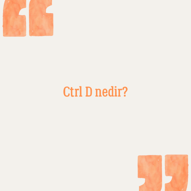 Ctrl D nedir? 1