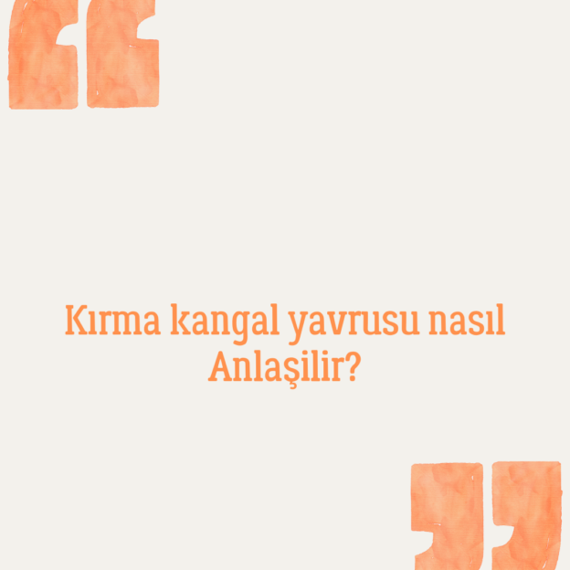 Kırma kangal yavrusu nasıl Anlaşilir? 1