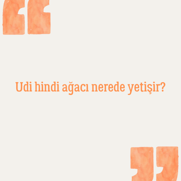 Udi hindi ağacı nerede yetişir? 1