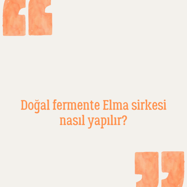 Doğal fermente Elma sirkesi nasıl yapılır? 1