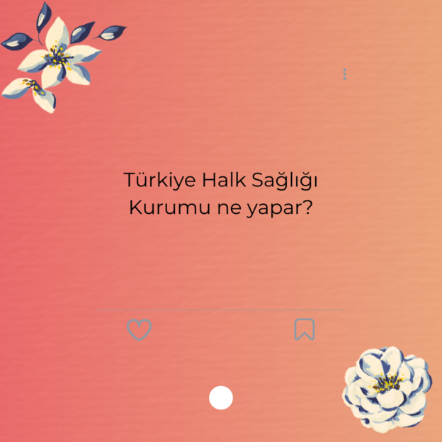 Türkiye Halk Sağlığı Kurumu ne yapar? 1