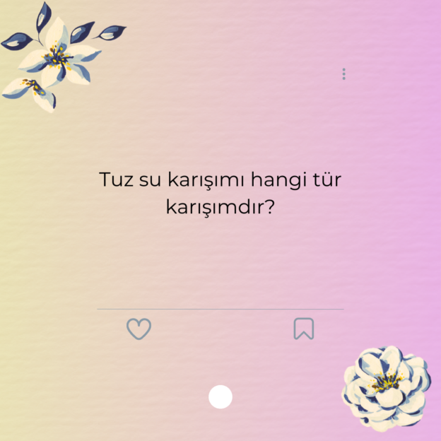 Tuz su karışımı hangi tür karışımdır? 1